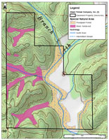 Fayette 344 ECO