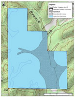 Fayette 344 Hydric Soil