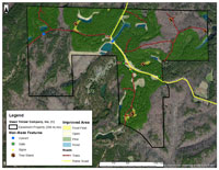 Walker Co. 288 acres MMF