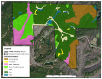Walker Co. 288 acres Stand
