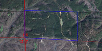 Fayette Co. 81 acres photo