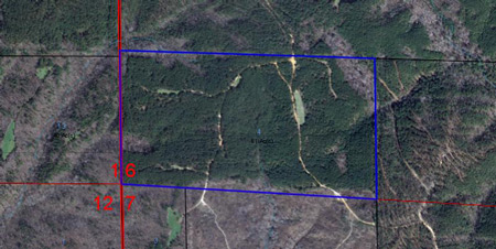 Fayette 81 acres photo